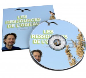 CD Session Oiseau 2